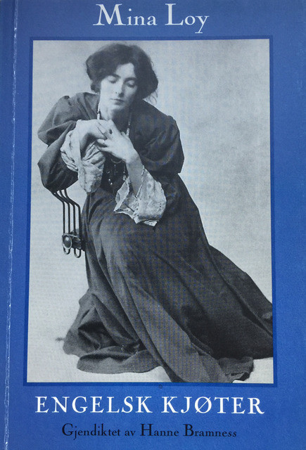 Stemmens kontinent book cover 1