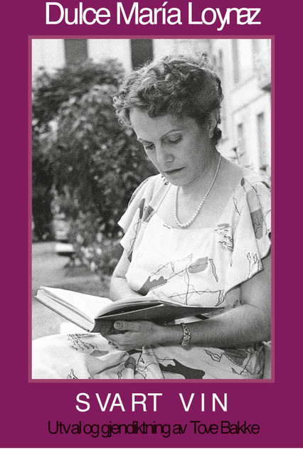 Stemmens kontinent book cover 2