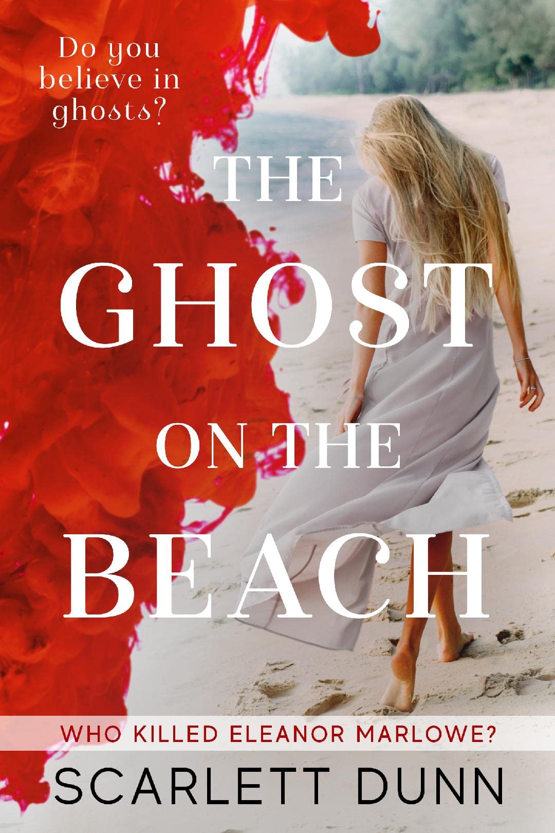 The Ghost on the Beach book cover