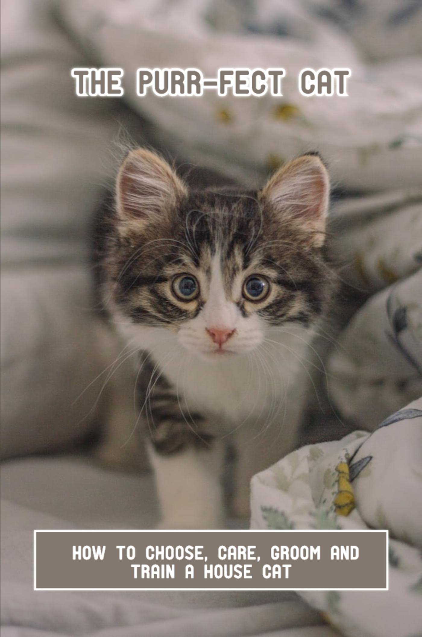 The PurrFect Cat How To Choose, Care, Groom And Train A House Cat by