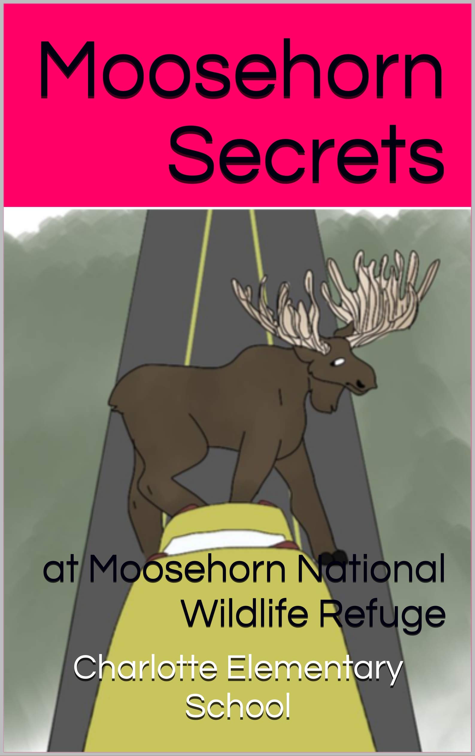 Moosehorn Secrets at Moosehorn National Wildlife Refuge by Charlotte Elementary School Goodreads