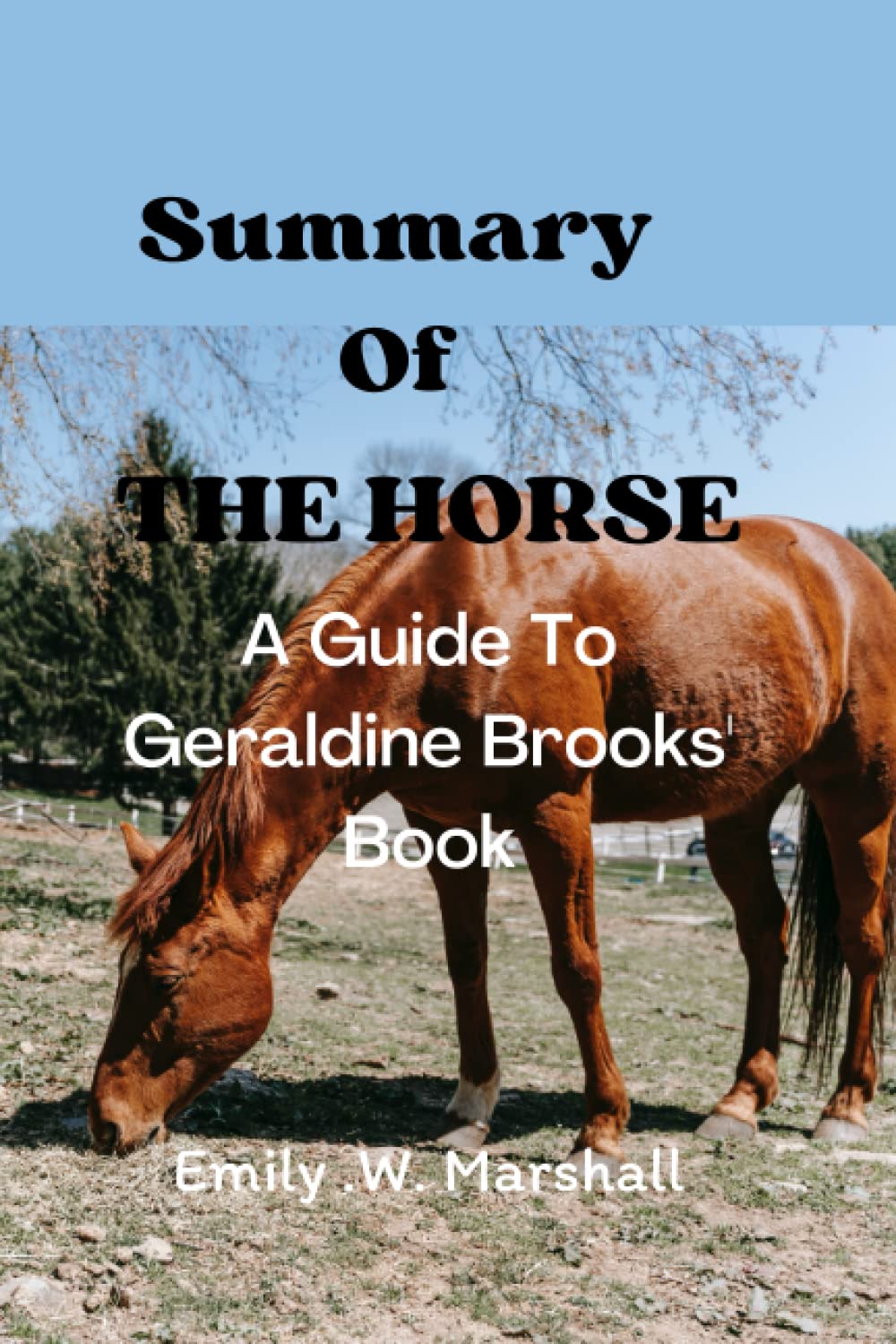 Summary Of The Horse; A Guide To Geraldine Brooks' Book by Emily .W
