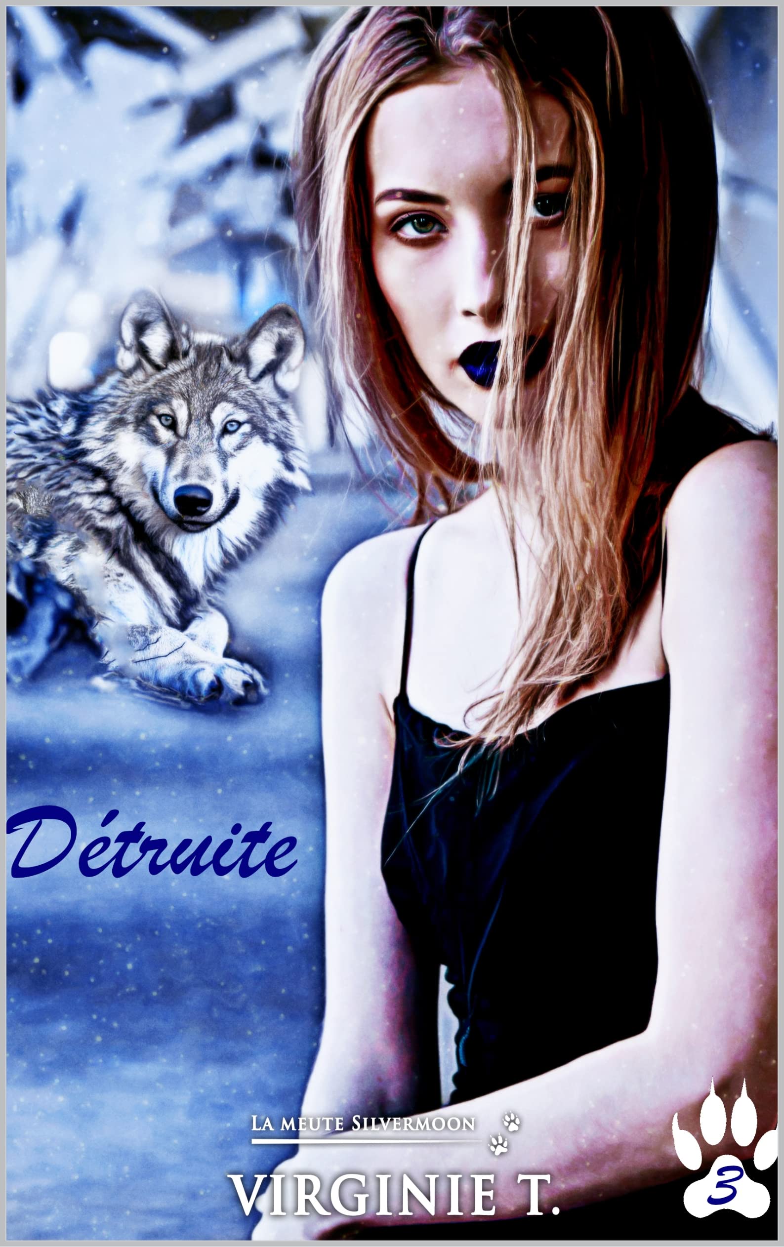 Détruite (La meute Silvermoon t. 3)