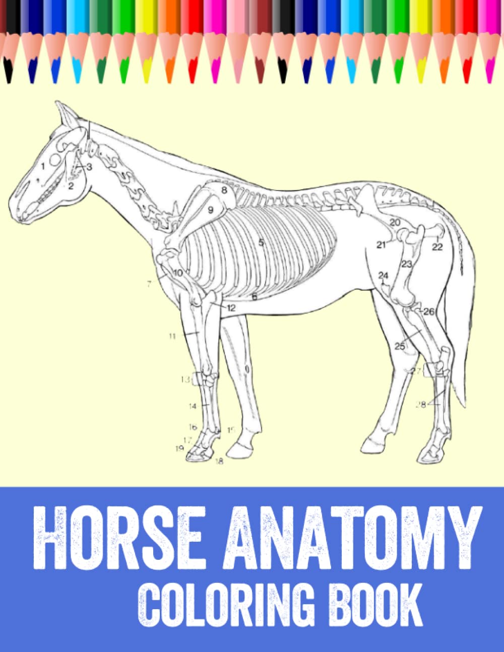 Horse Anatomy Coloring Book: Perfect Gift for Veterinary Students