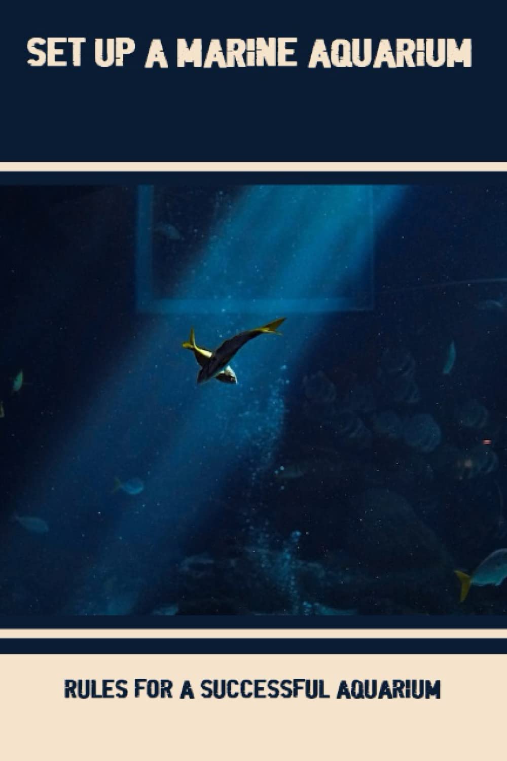 Set Up A Marine Aquarium Rules For A Successful Aquarium by Florentino