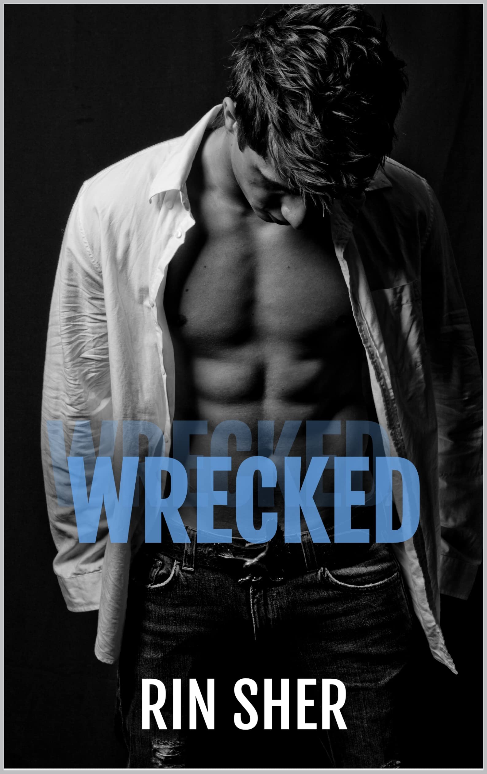 Wrecked book cover