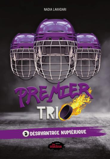 Désavantage numérique book cover