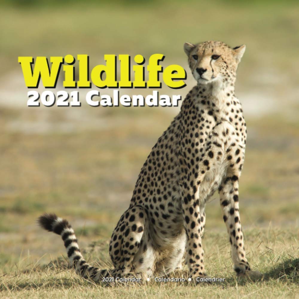 wildlife-calendar-2021-animal-gifts-men-kids-women-by-almon-dolhe