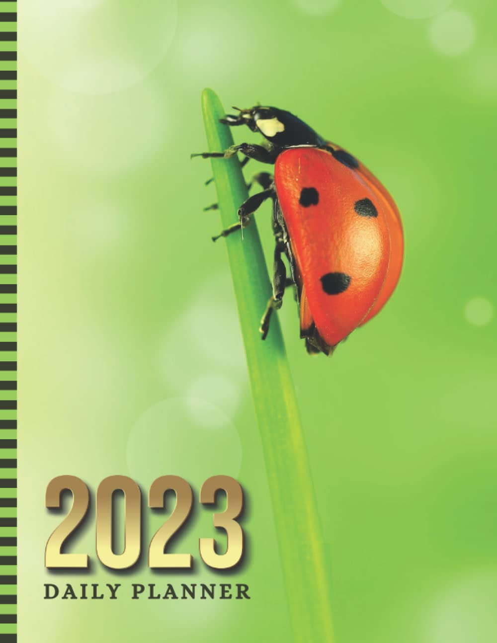 2023-daily-planner-8-5x11-large-dated-one-page-per-day-diary-with