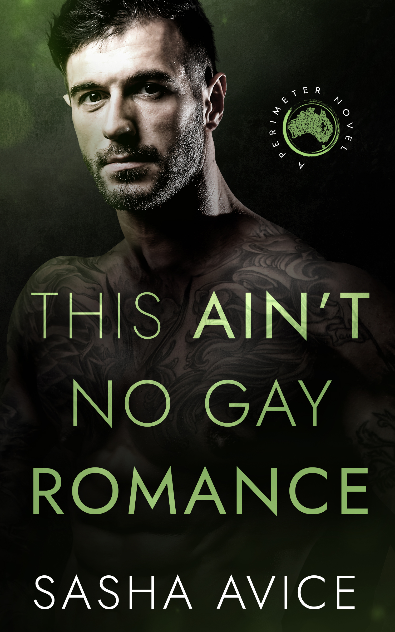 This Ain't No Gay Romance
