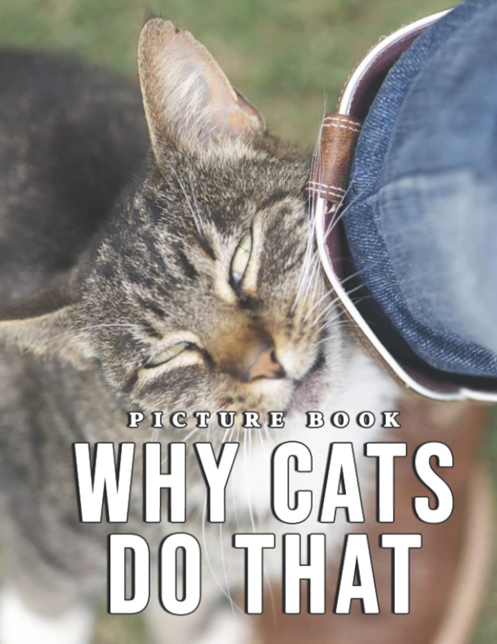 Picture Of Why Cats Do That Compelling Photo Of Why Cats Do That As A