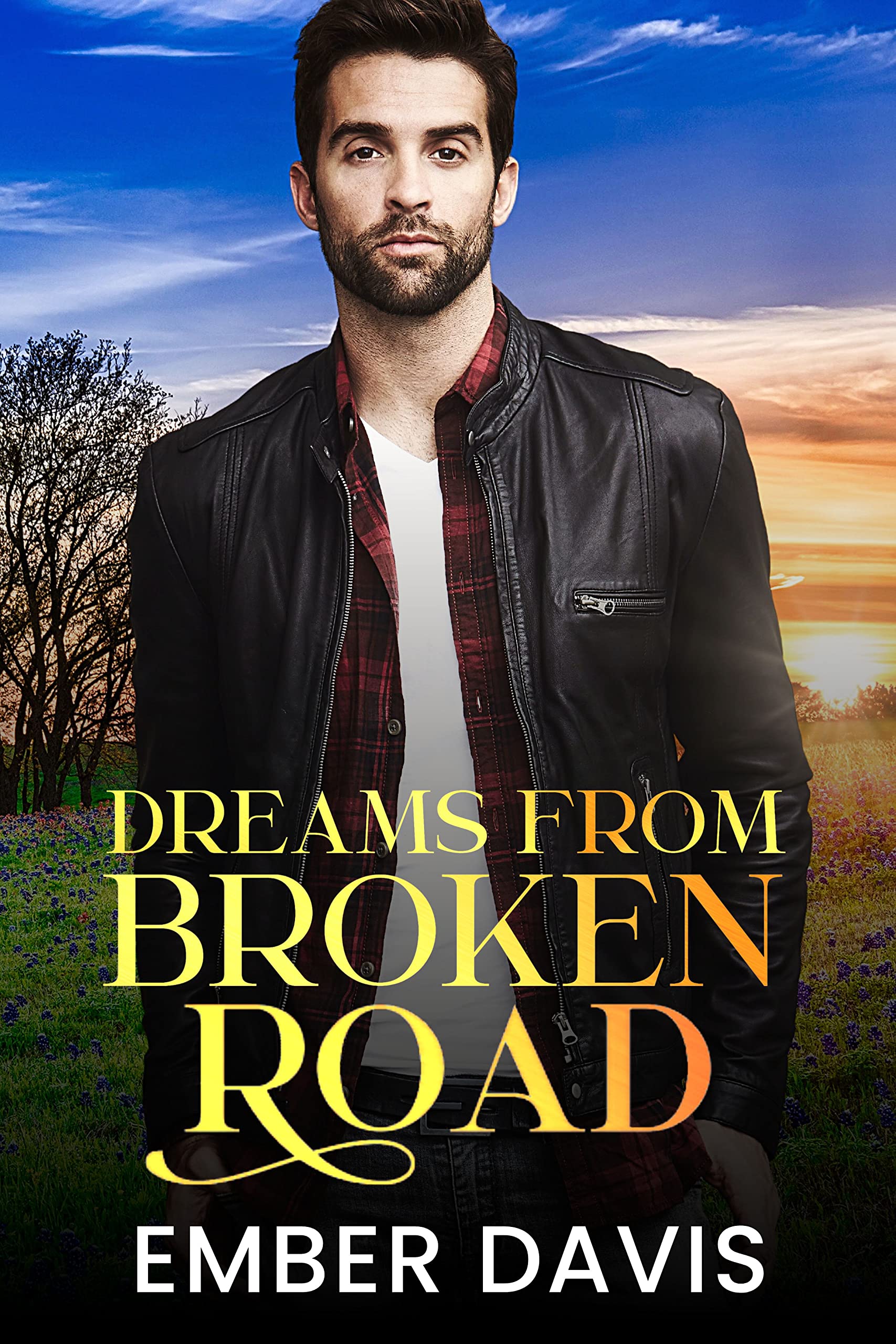 Dreams From Broken Road book cover