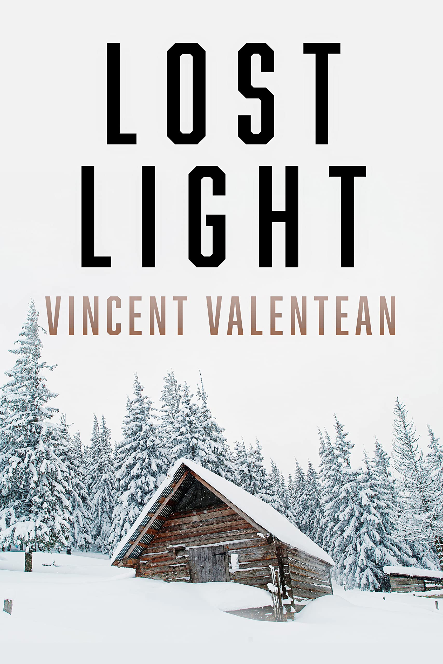 Lost Light book cover