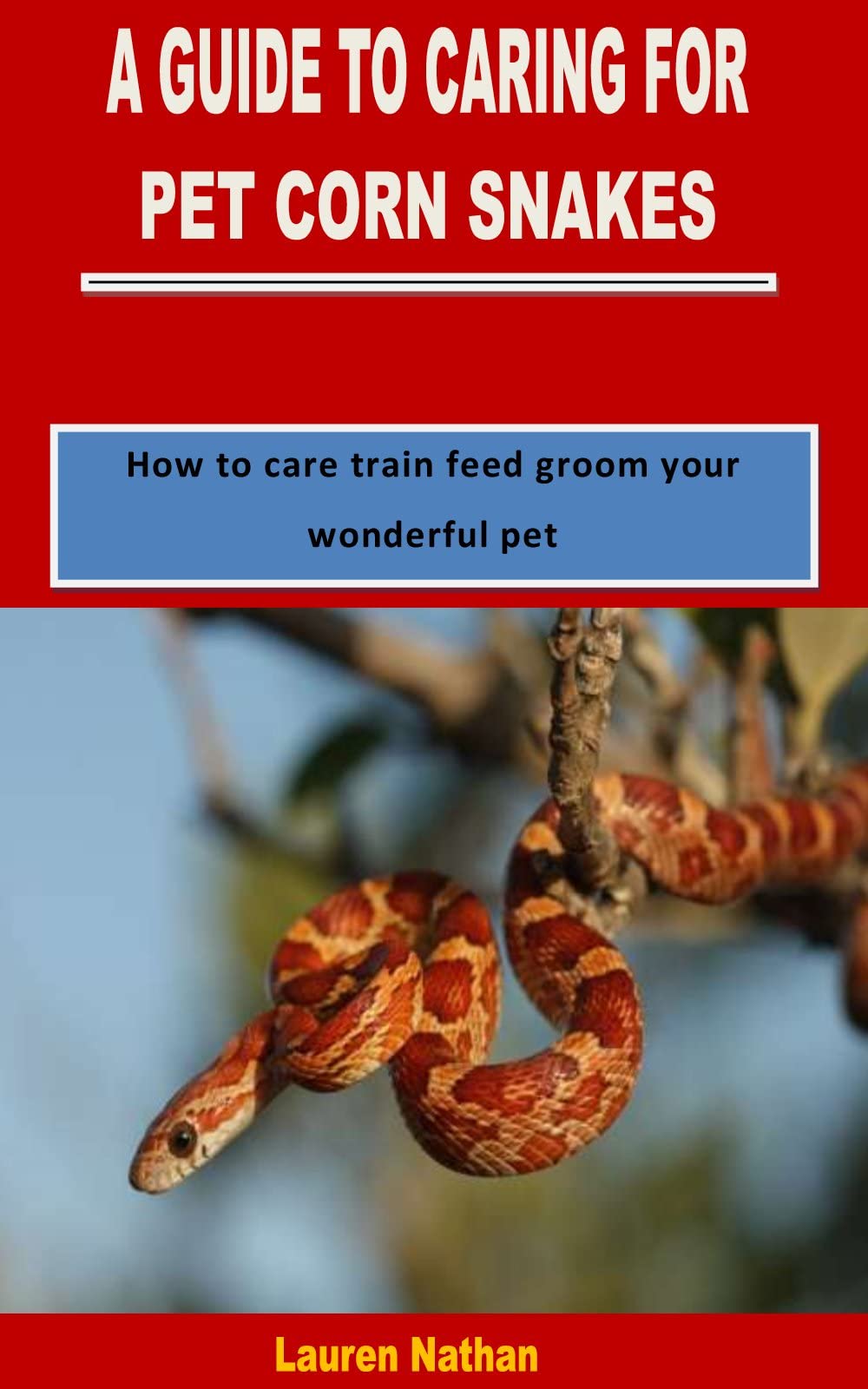 A GUIDE TO CARING FOR PET CORN SNAKES How to care train feed groom