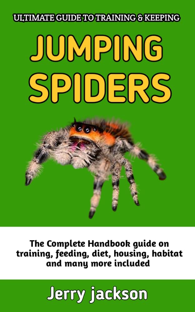 Ultimate Guide To Training And Keeping Jumping Spiders Complete Jumping Spider Pet Owners