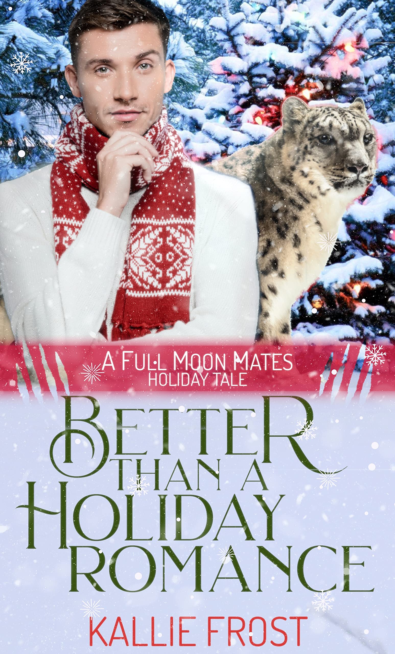 Better than a Holiday Romance book cover