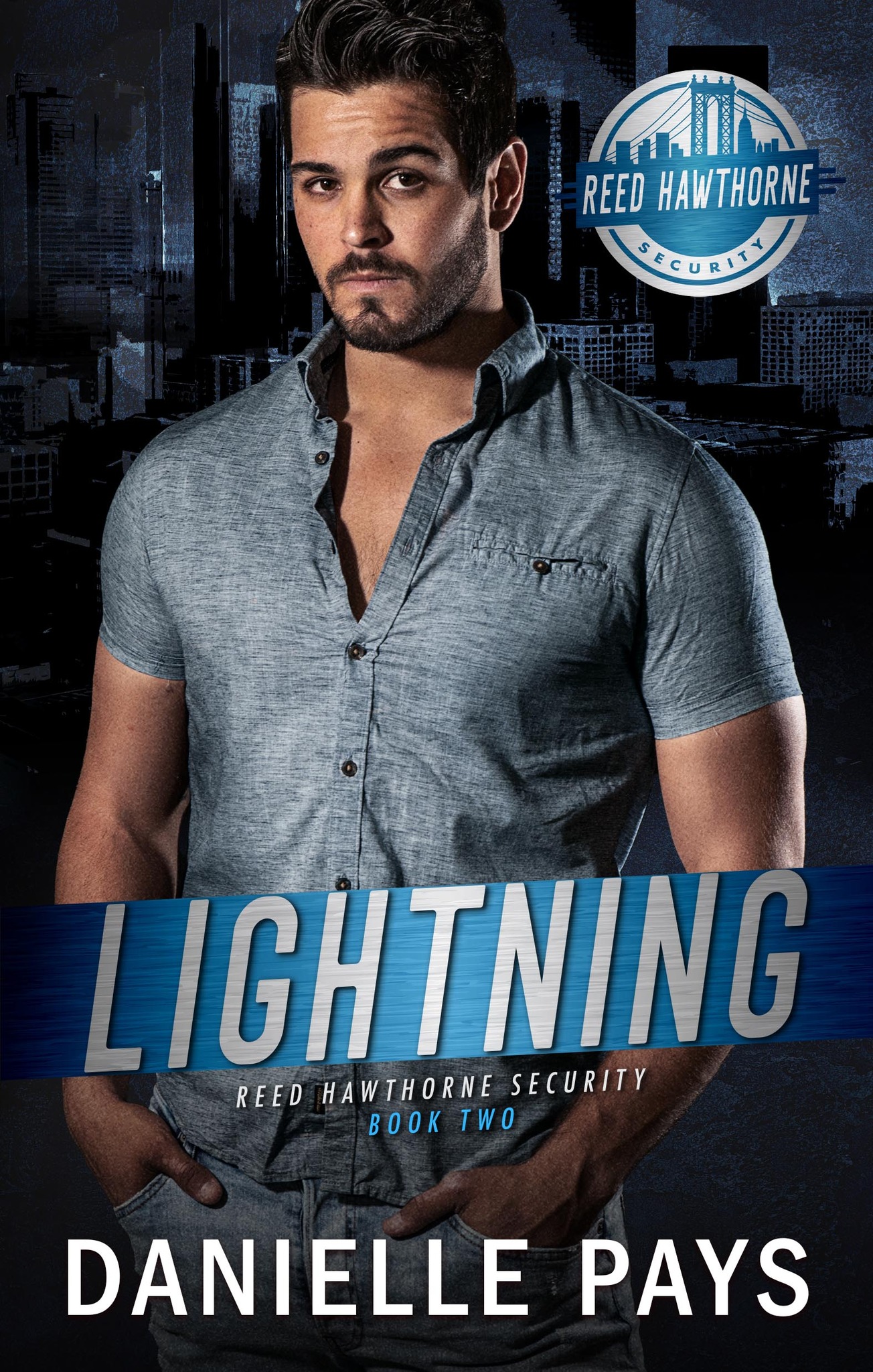 Lightning book cover
