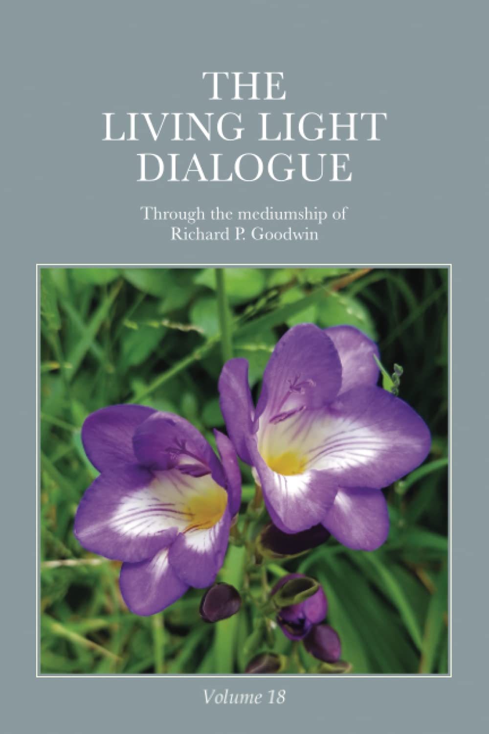 The Living Light Dialogue Volume 18 Spiritual Awareness Classes of the