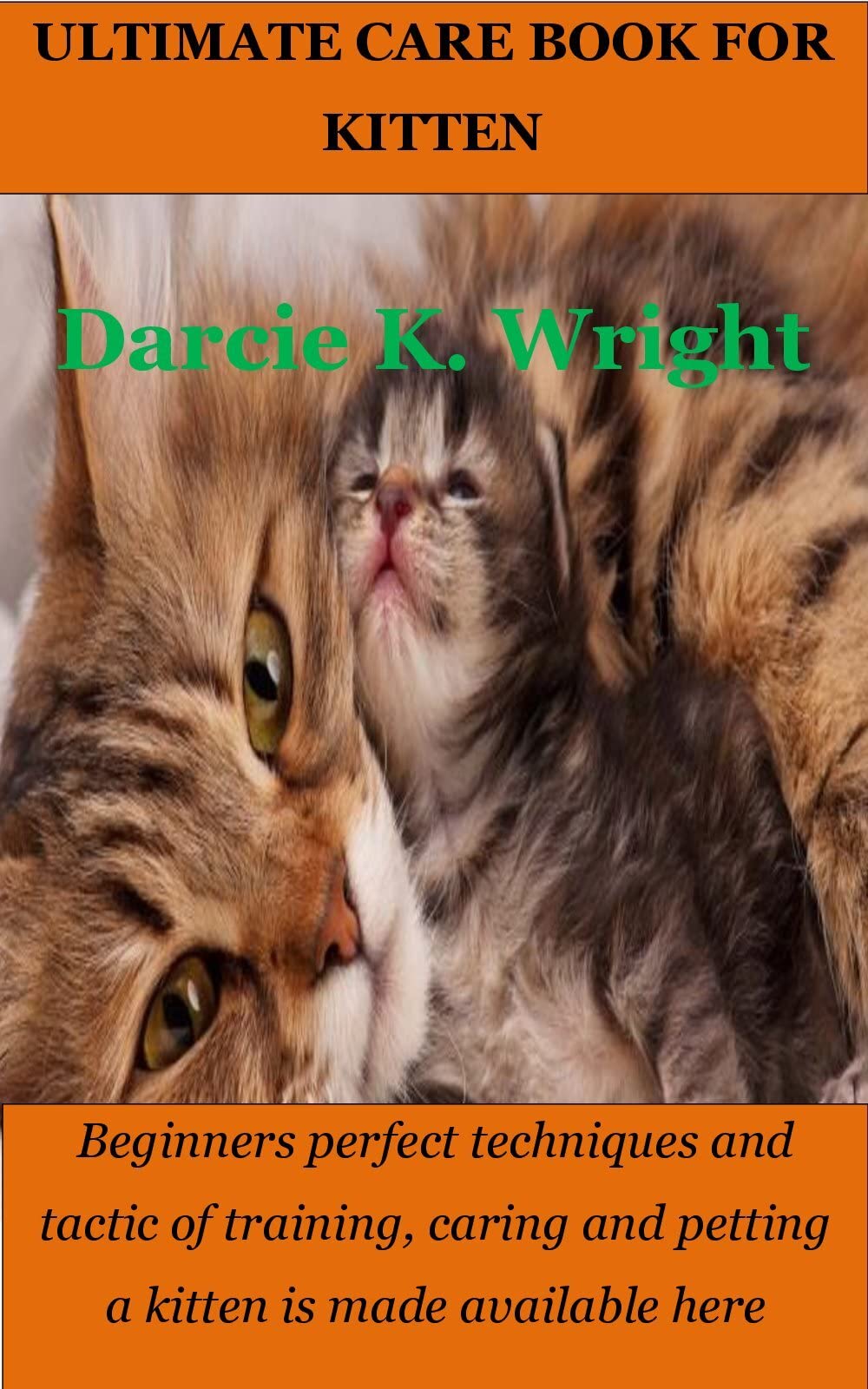 ULTIMATE CARE BOOK FOR KITTEN Beginners perfect techniques and tactic