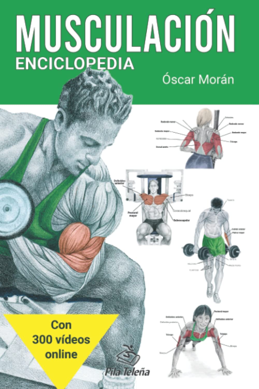 ENCICLOPEDIA DE MUSCULACIÓN Y FUERZA