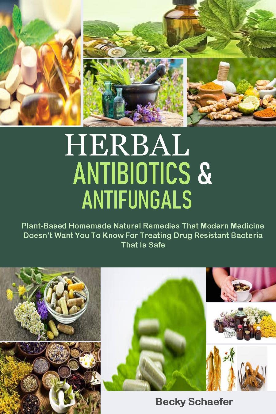 Herbal Antibiotics & Antifungals PlantBased Homemade Natural Remedies