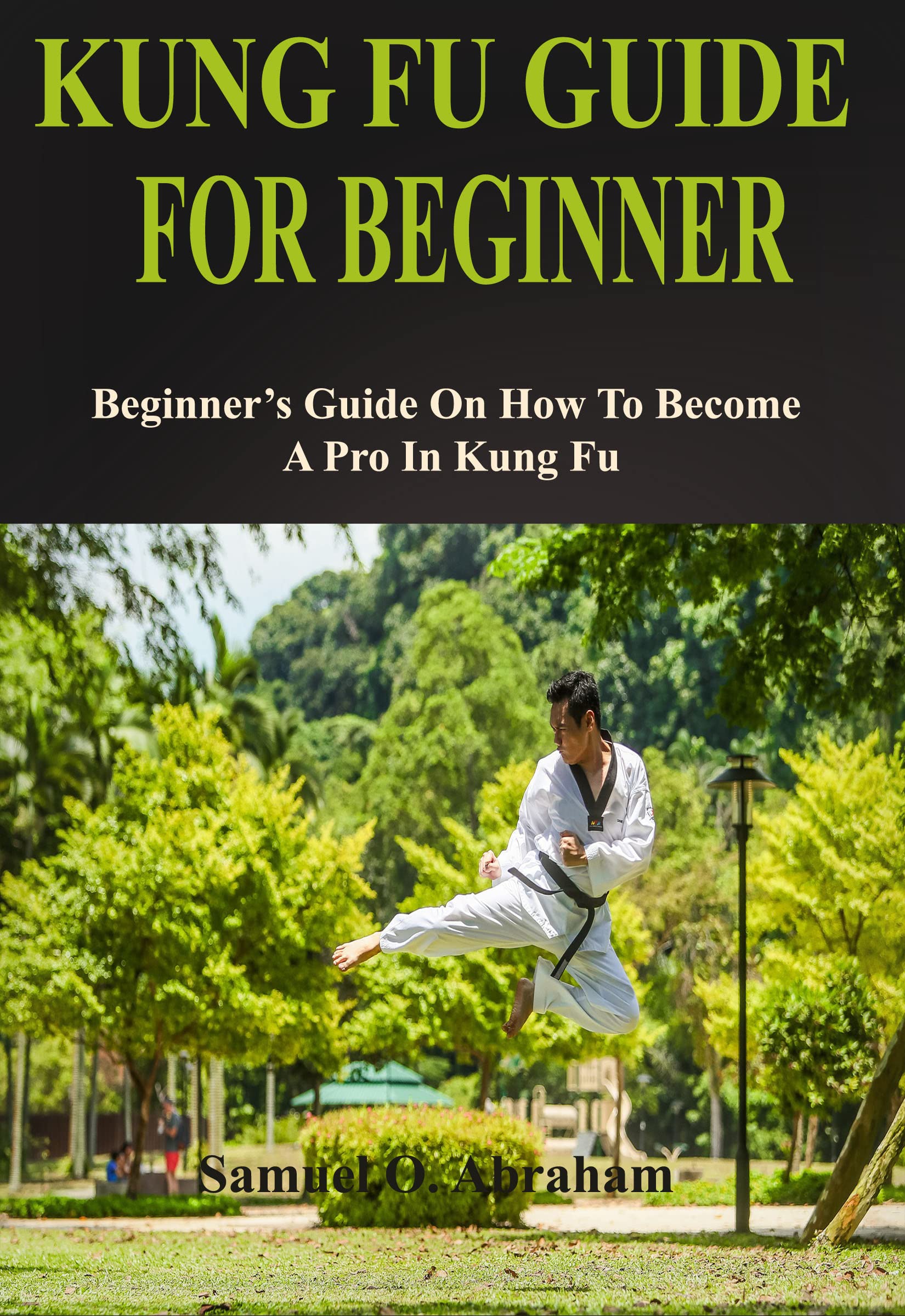 KUNG FU GUIDE FOR BEGINNER Beginner’s Guide On How To A Pro In