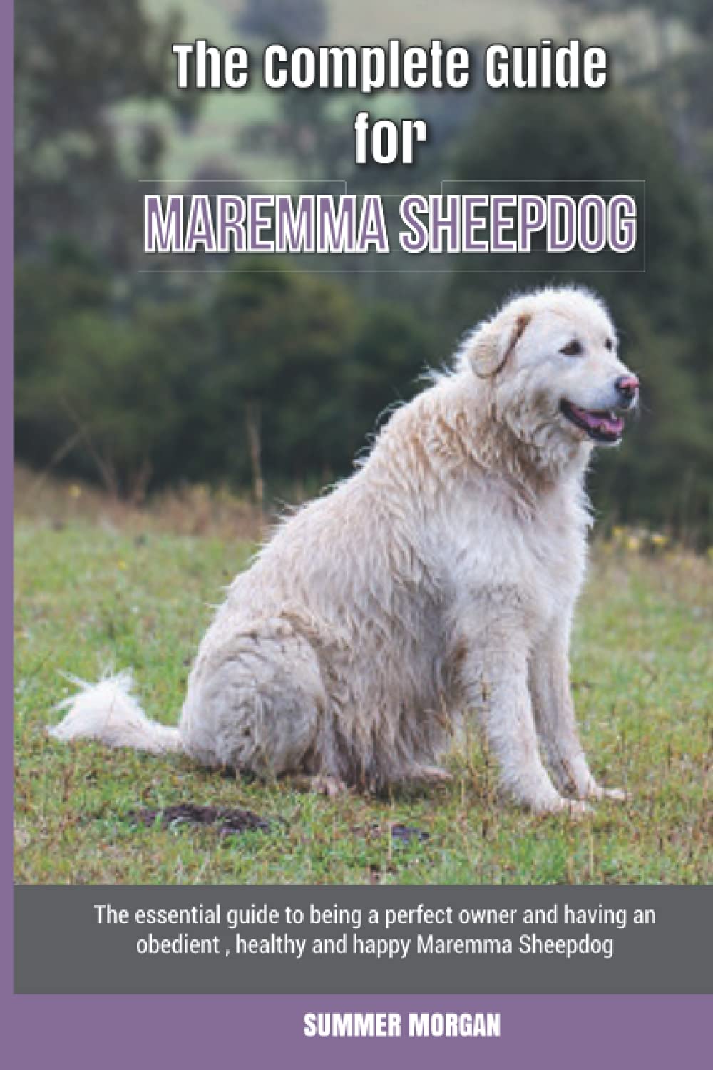 The Complete Guide for Maremma Sheepdog The essential guide to being a