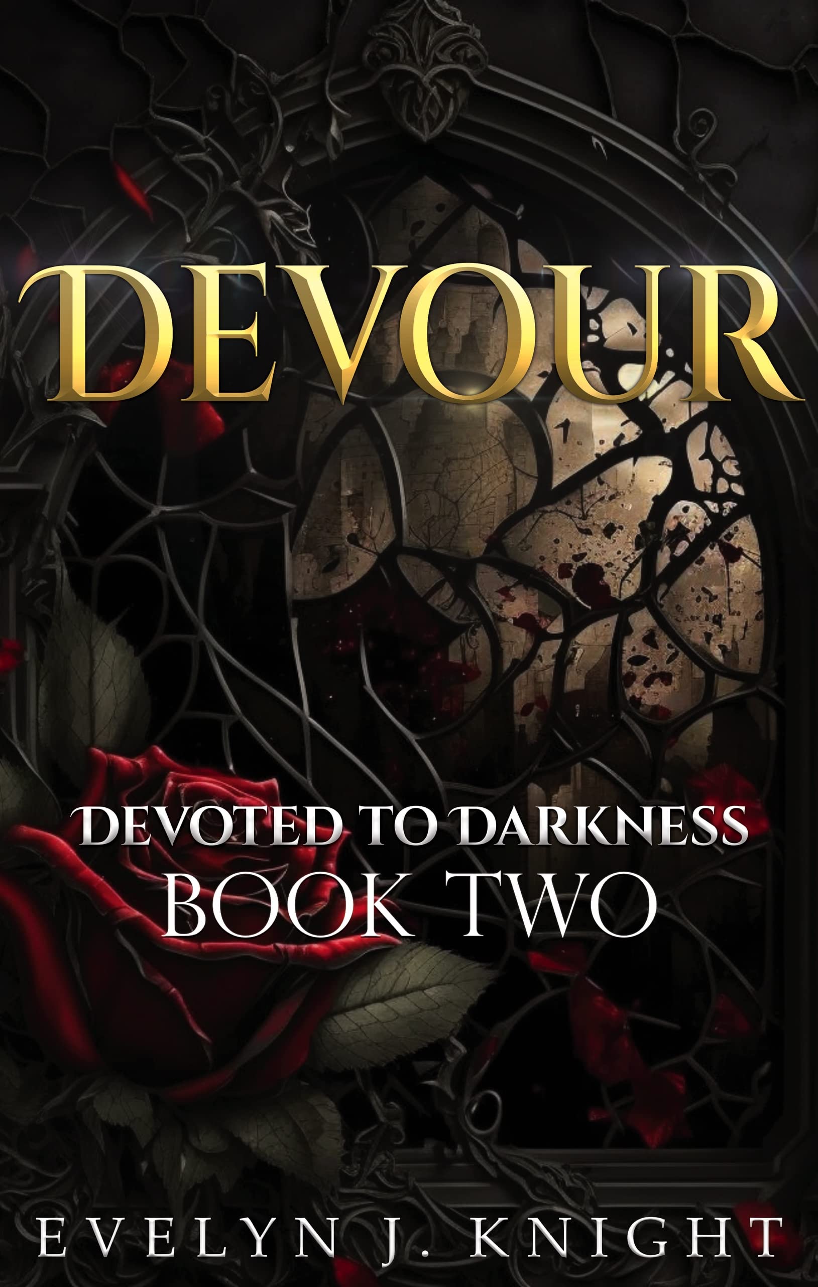 DEVOUR Devoted To Darkness Book 2 A Paranormal Vampire Romance by