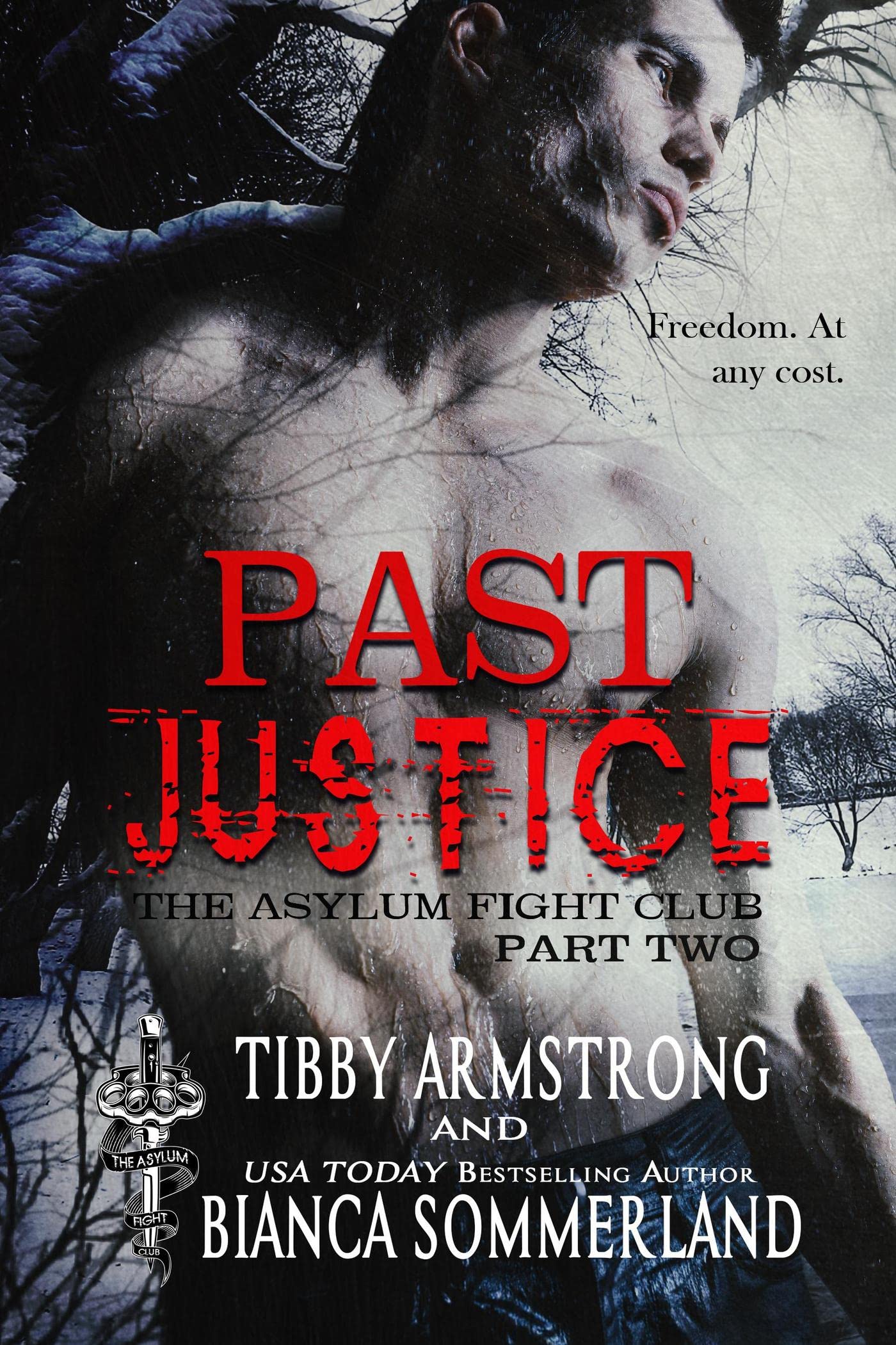 Past Justice book cover