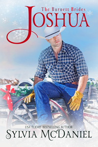 Joshua book cover