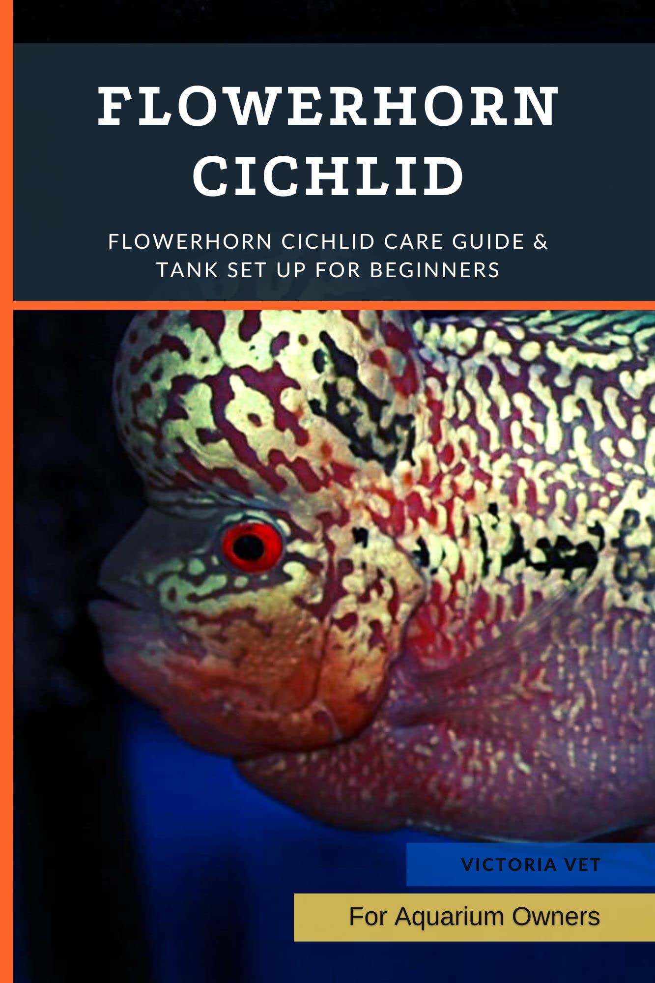 flowerhorn-cichlid-flowerhorn-cichlid-care-guide-tank-set-up-for