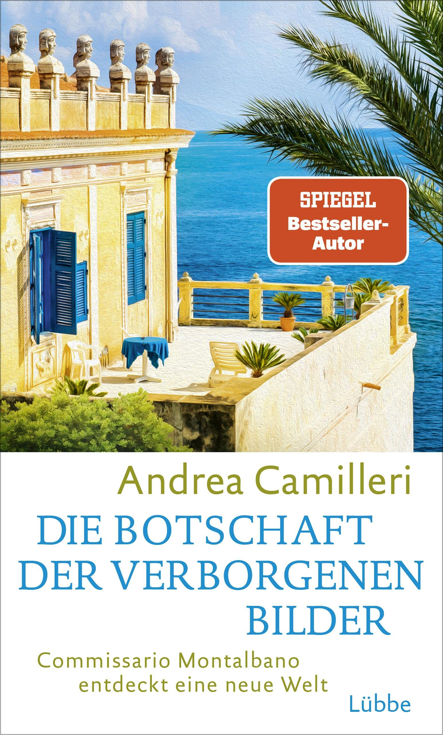 Die Botschaft der verborgenen Bilder book cover