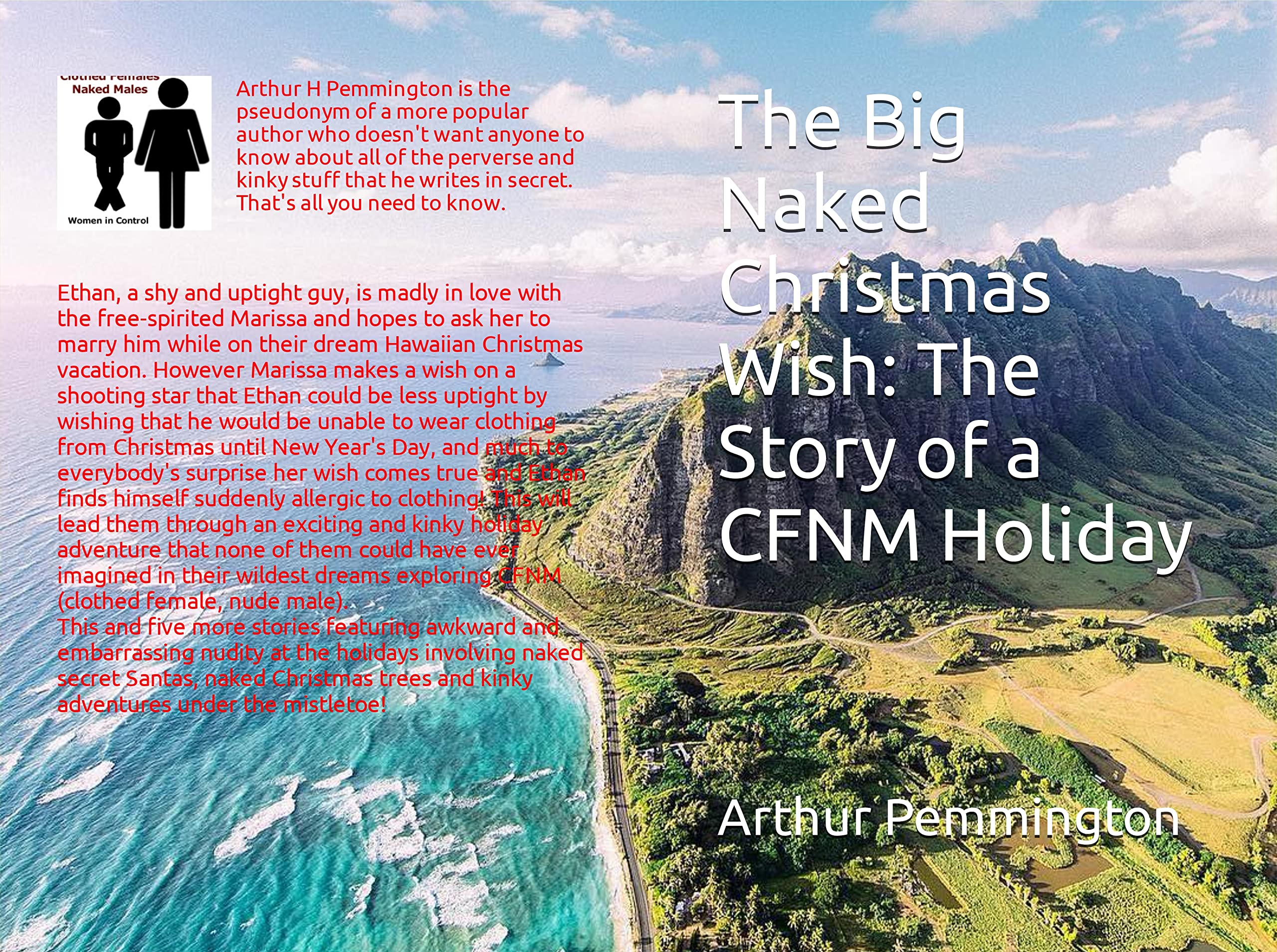 The Big Naked Christmas Wish: The Story of a CFNM Holiday