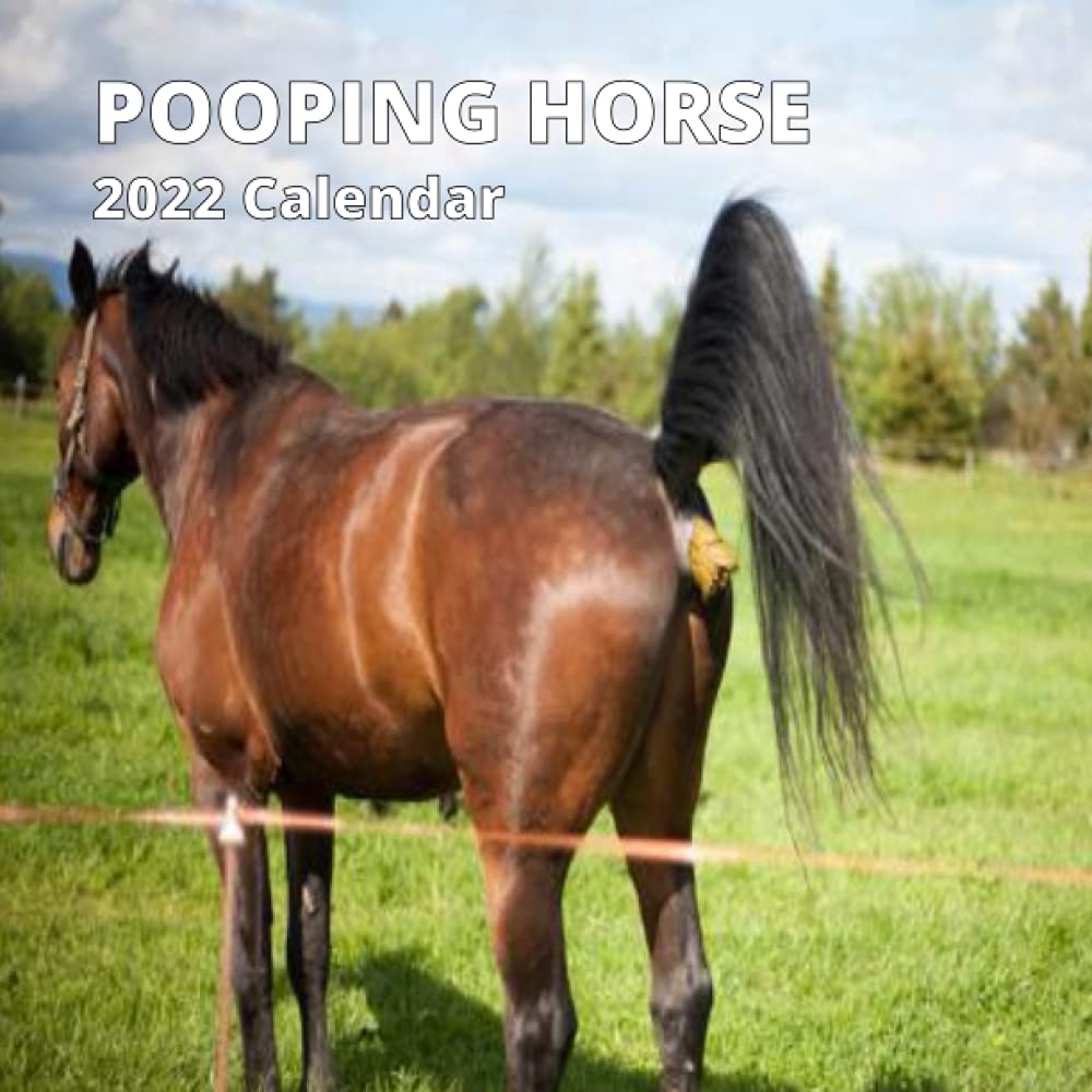 Pooping Horse Calendar 2022 Funny Animal Lover Gag Joke Gift for horse