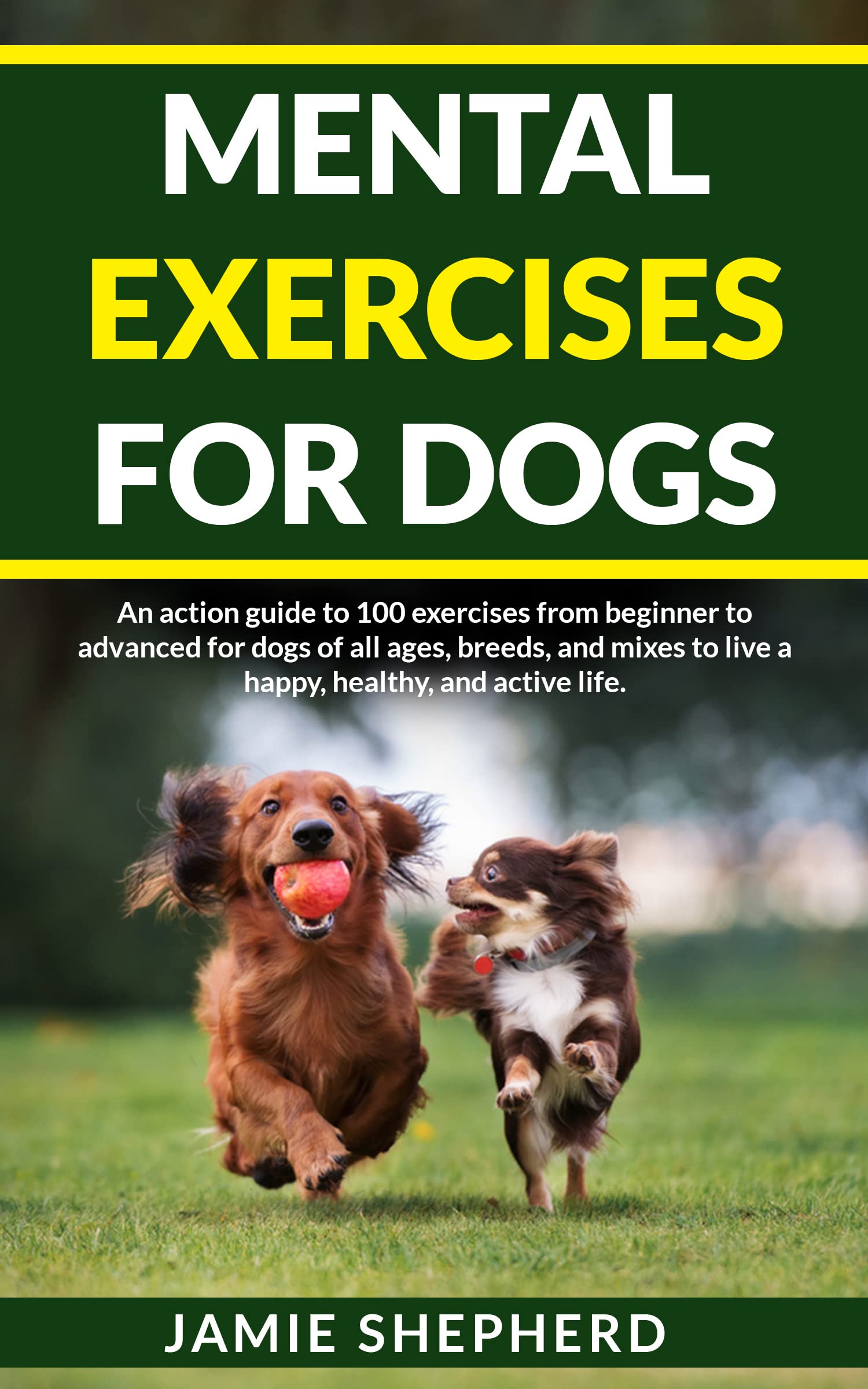 mental-exercises-for-dogs-an-action-guide-to-100-exercises-from