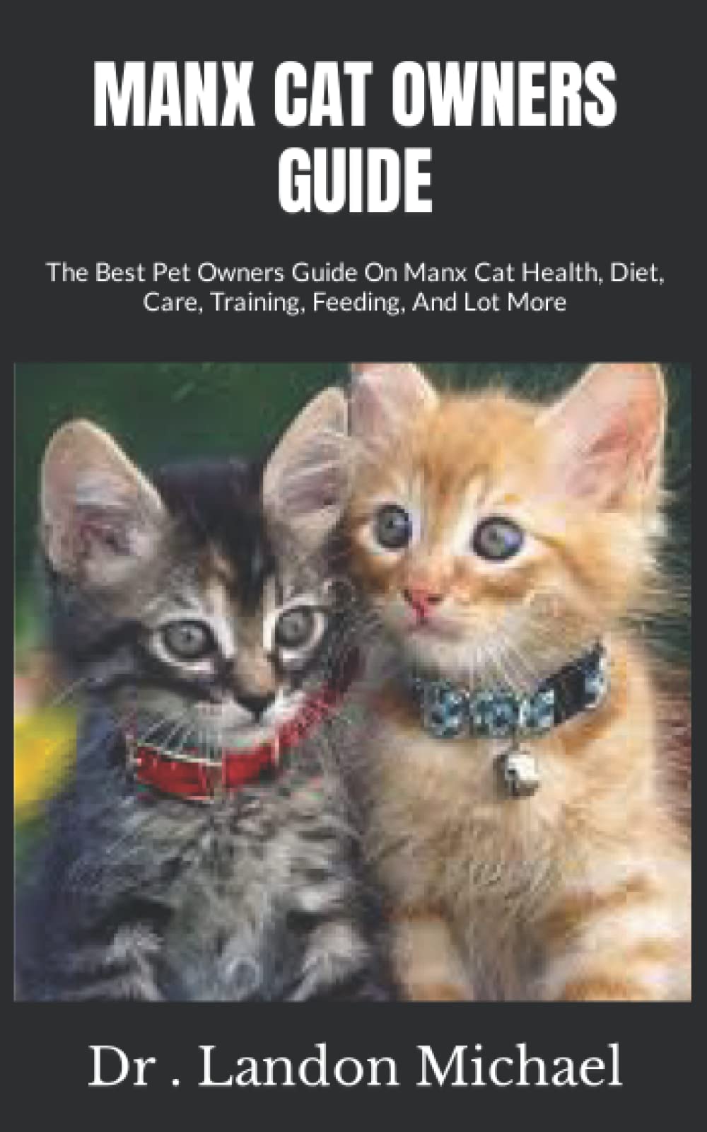MANX CAT OWNERS GUIDE The Best Pet Owners Guide On Manx Cat Health