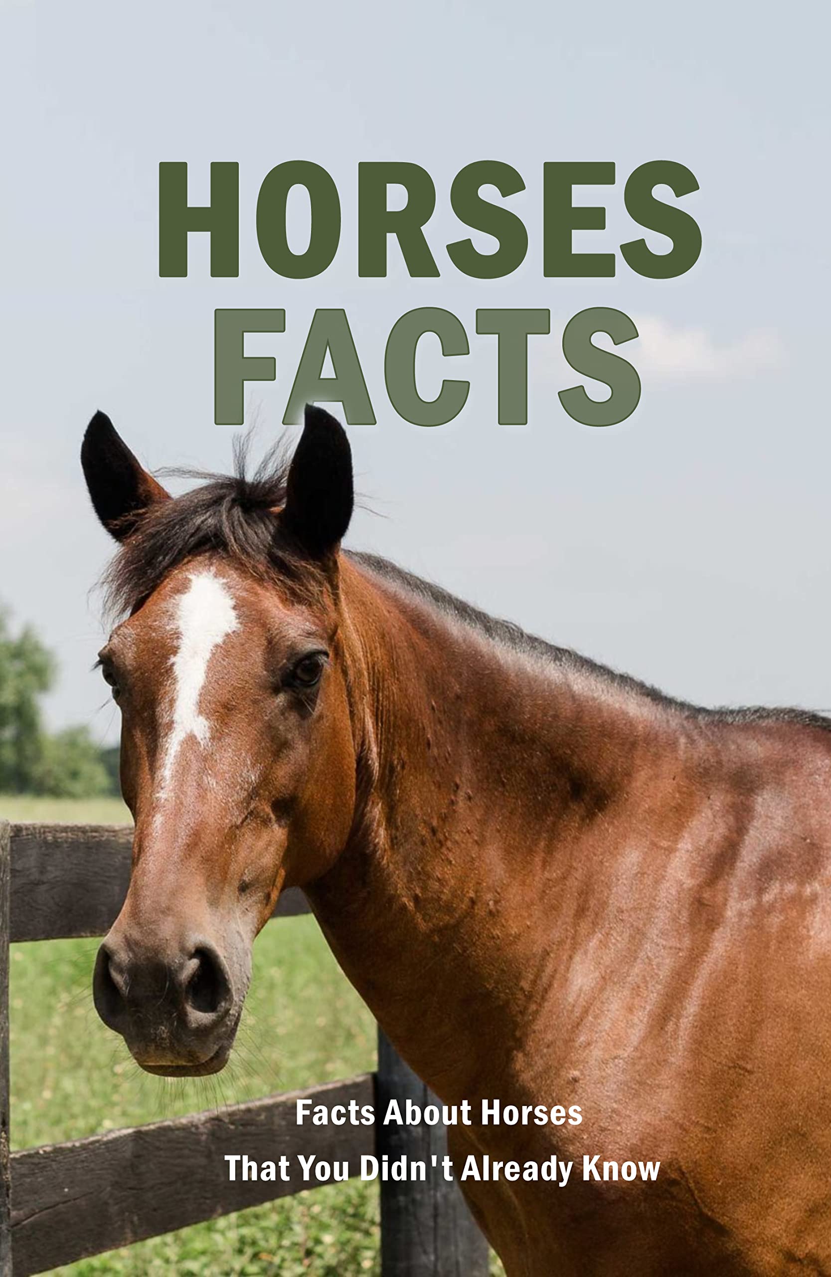 Horses Facts Facts About Horses That You Didn't Already Know