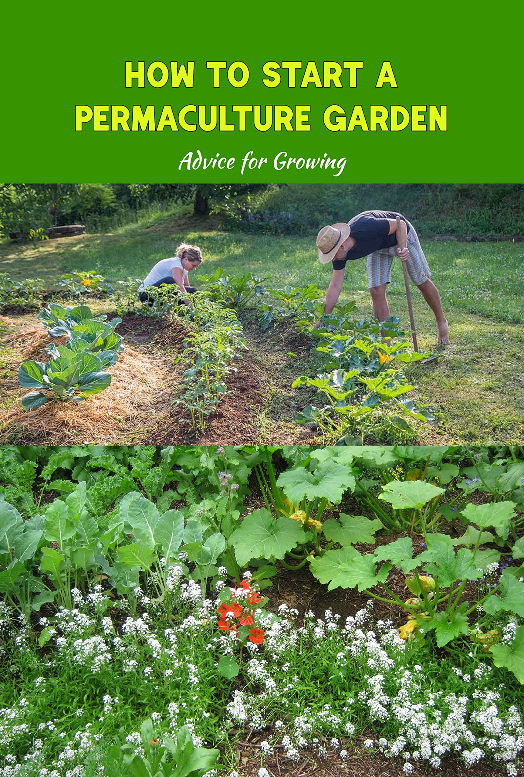 How to Start a Permaculture Garden Advice for Growing Guidelines for