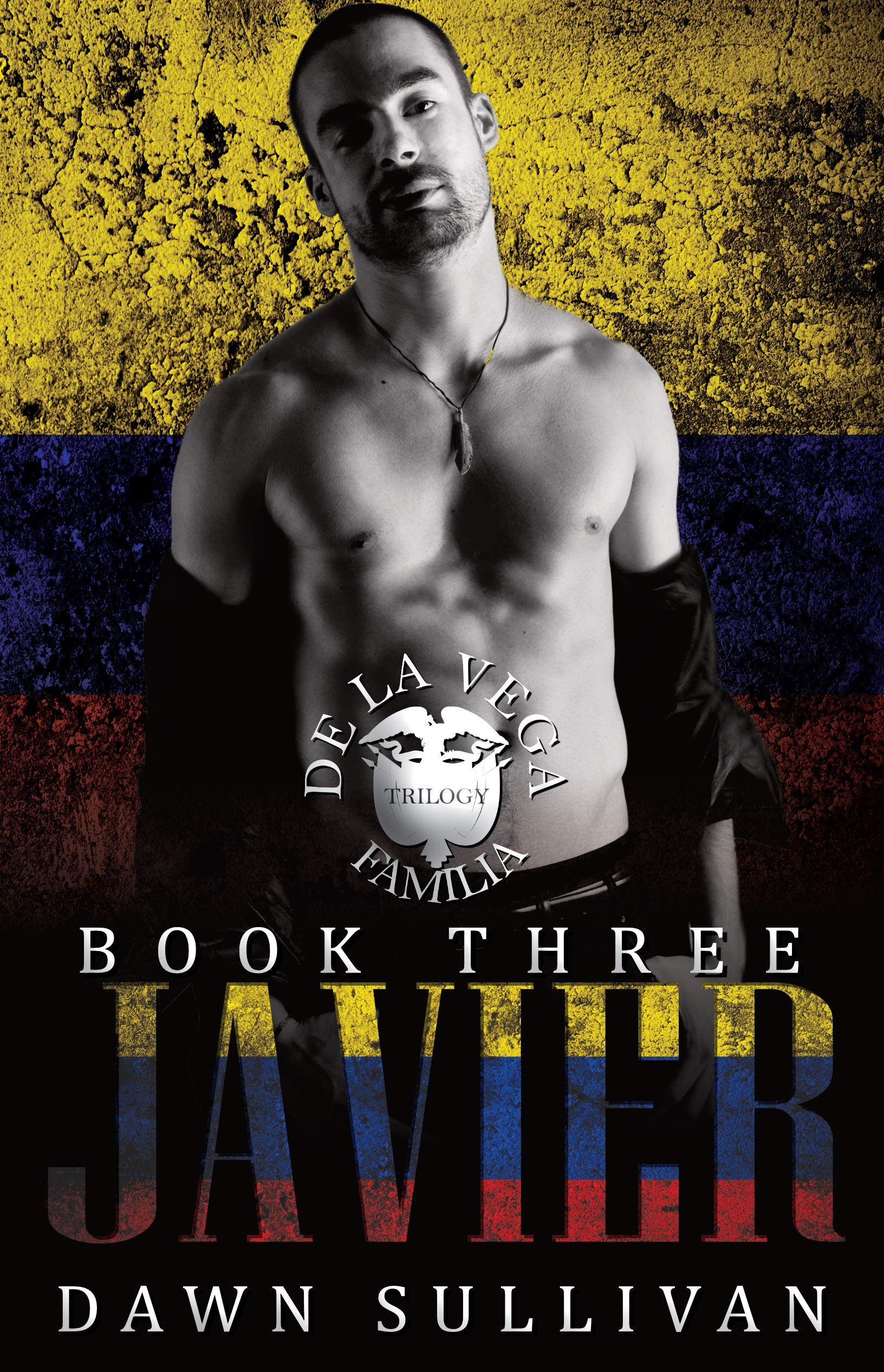 Javier book cover
