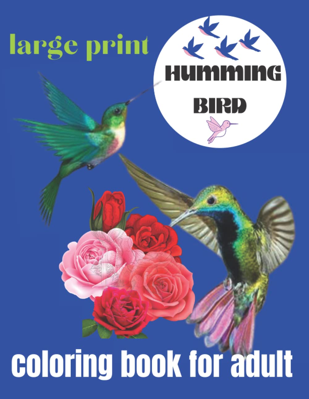 Large print Hummingbird Coloring Book For Adult. A Bird Lovers