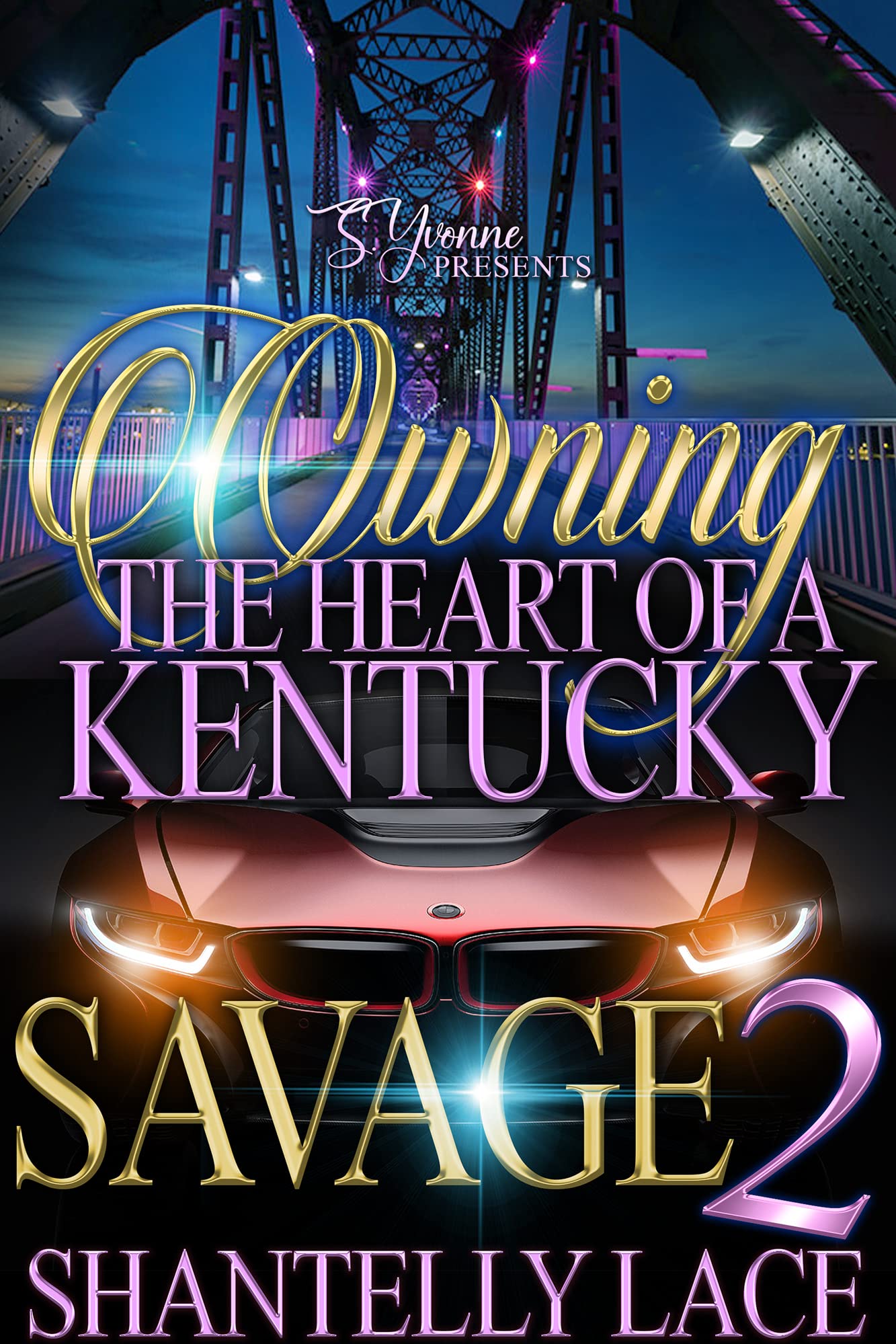 Owning The Heart of A Kentucky Savage 2 book cover