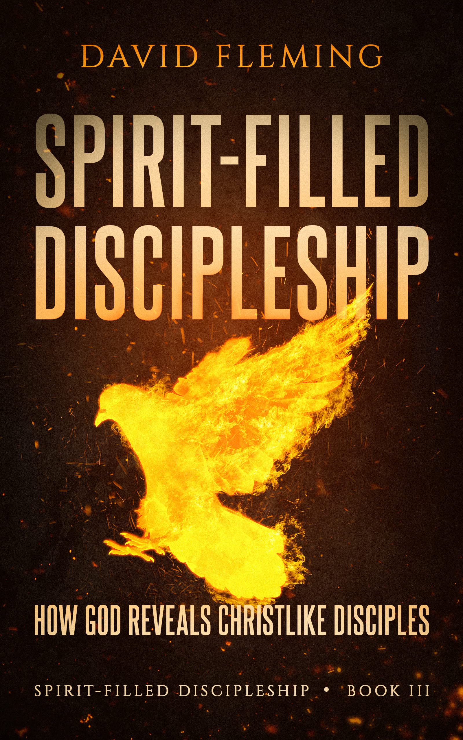 Spirit-filled Discipleship: How God Reveals Christlike Disciples