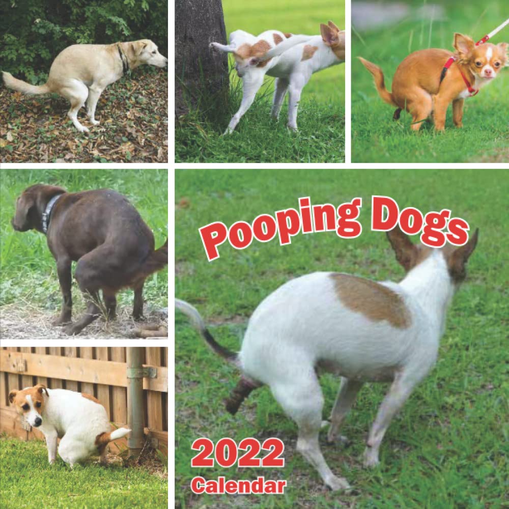 Pooping Dogs Calendar 2022 Funny Dogs Pooping Calendar Gift Idea for