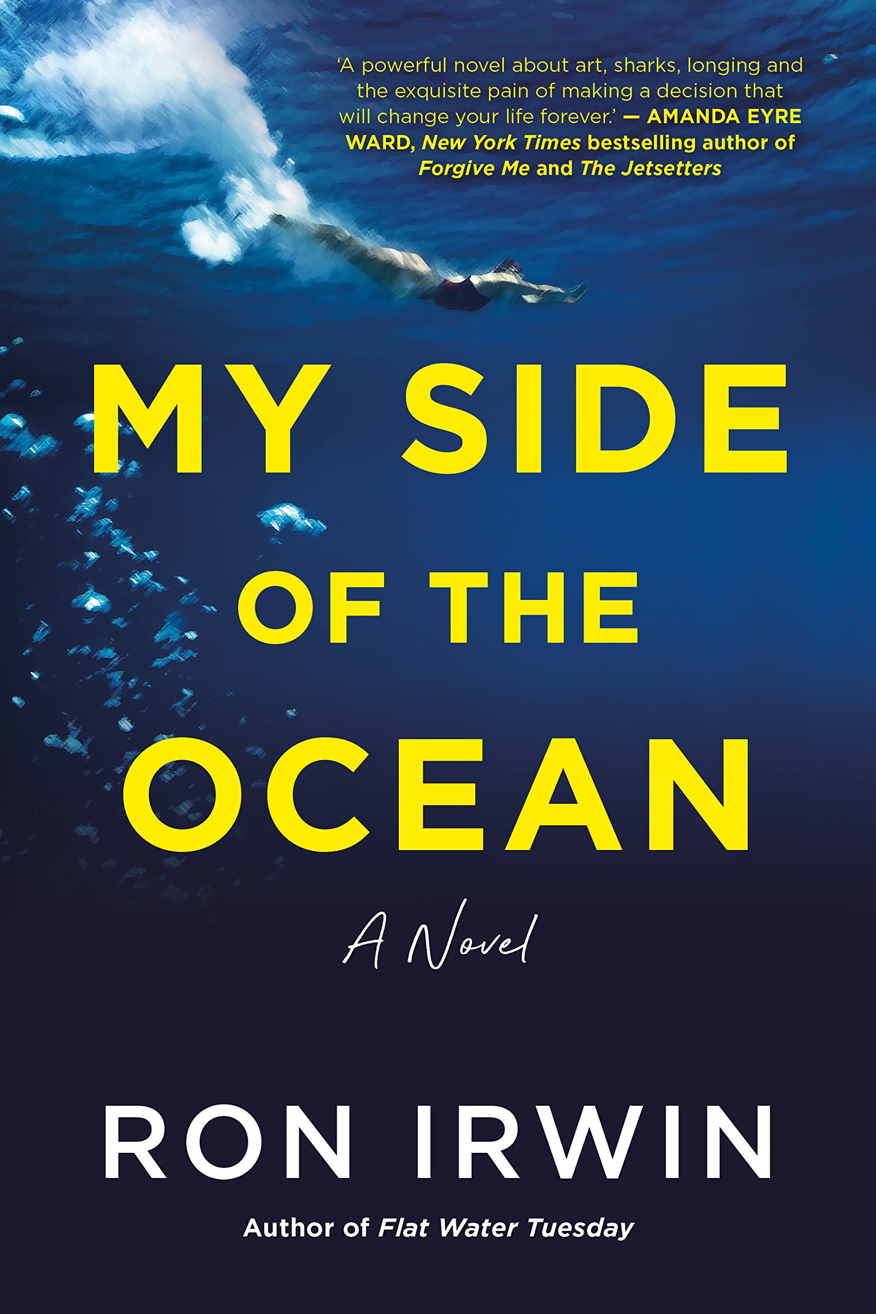 My Side of the Ocean: A Novel