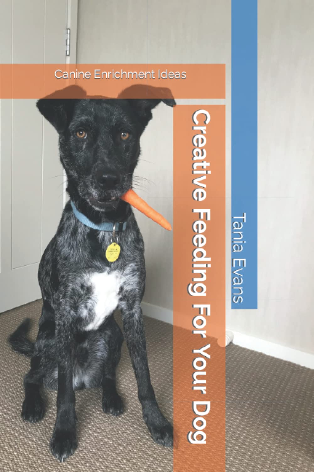 Creative Feeding For Your Dog Canine Enrichment Ideas by Tania Evans