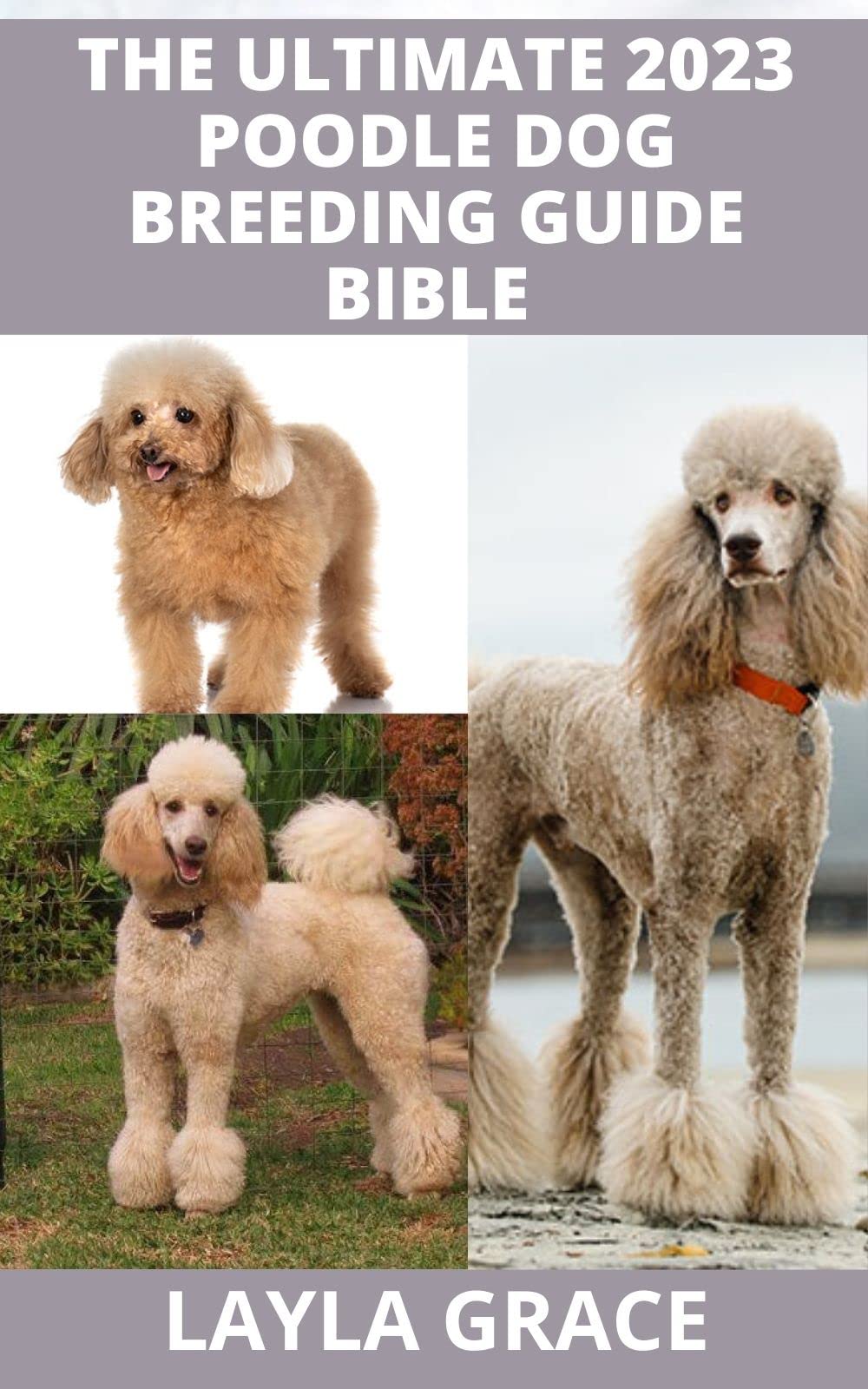 The Ultimate 2023 Poodle Dog Breeding Guide Bible Everything You Need