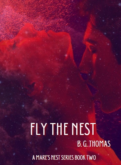 Fly the Nest book cover