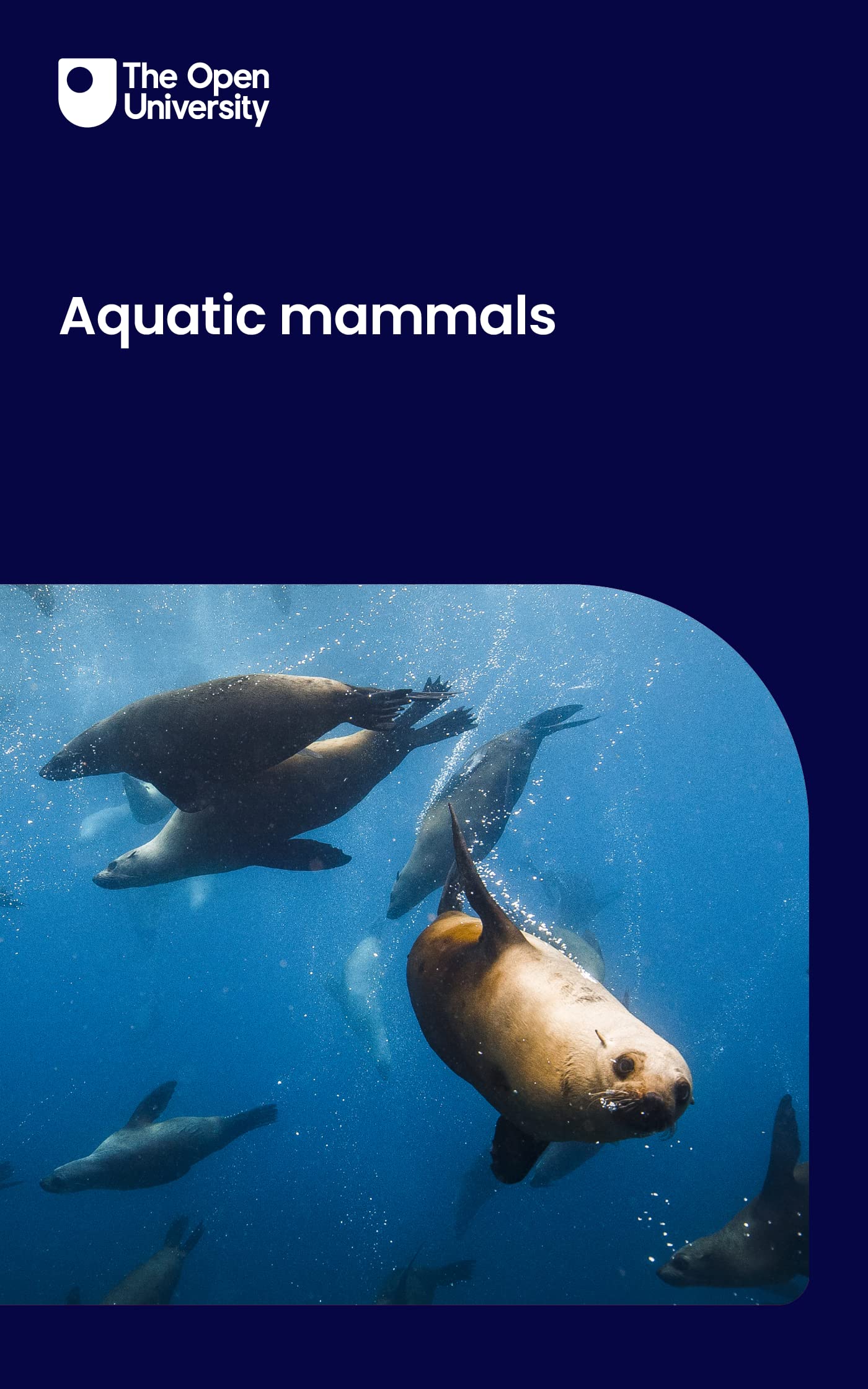 Aquatic mammals understanding their features and role in evolution by