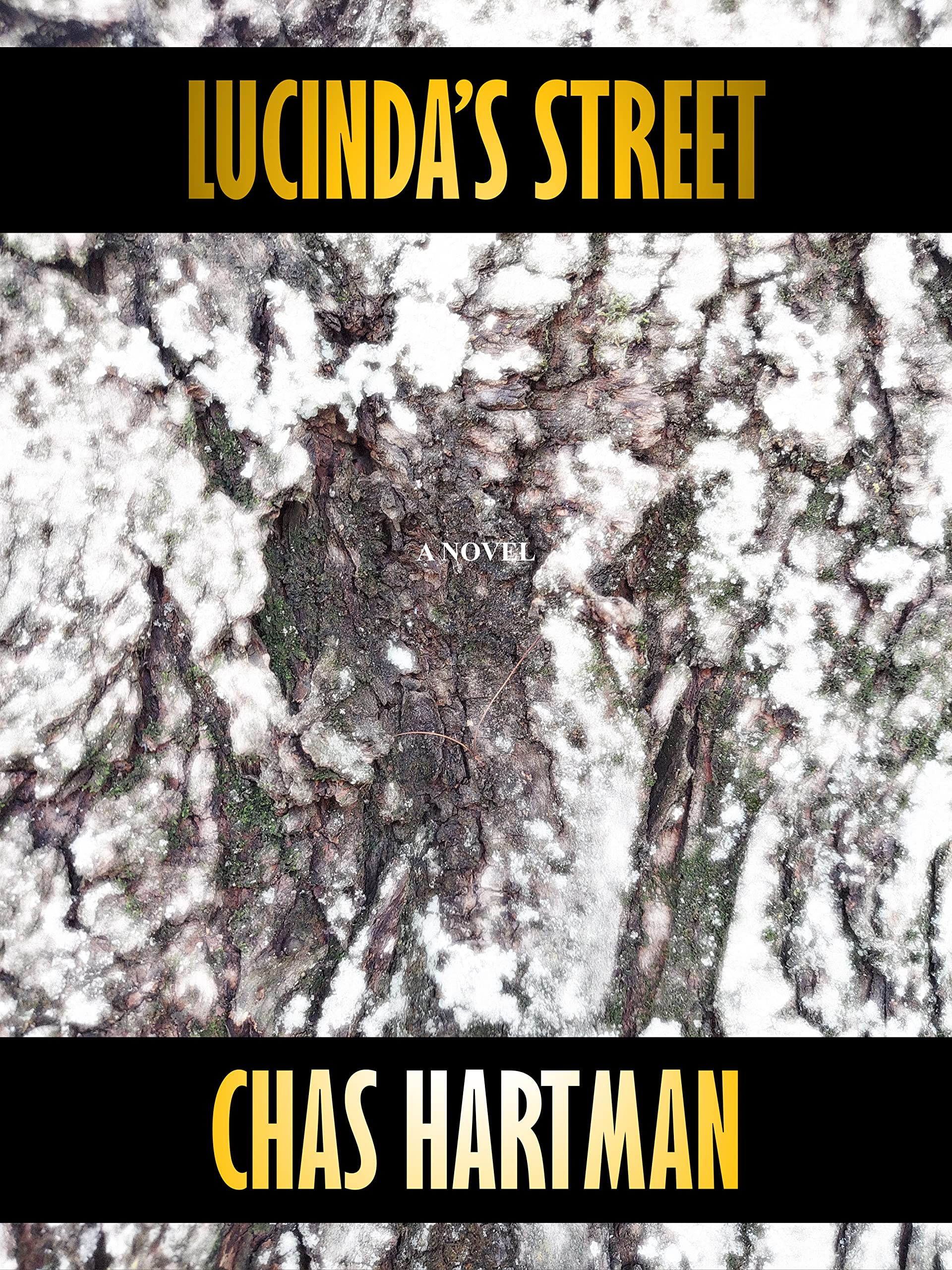 Lucinda's Street: A Novel