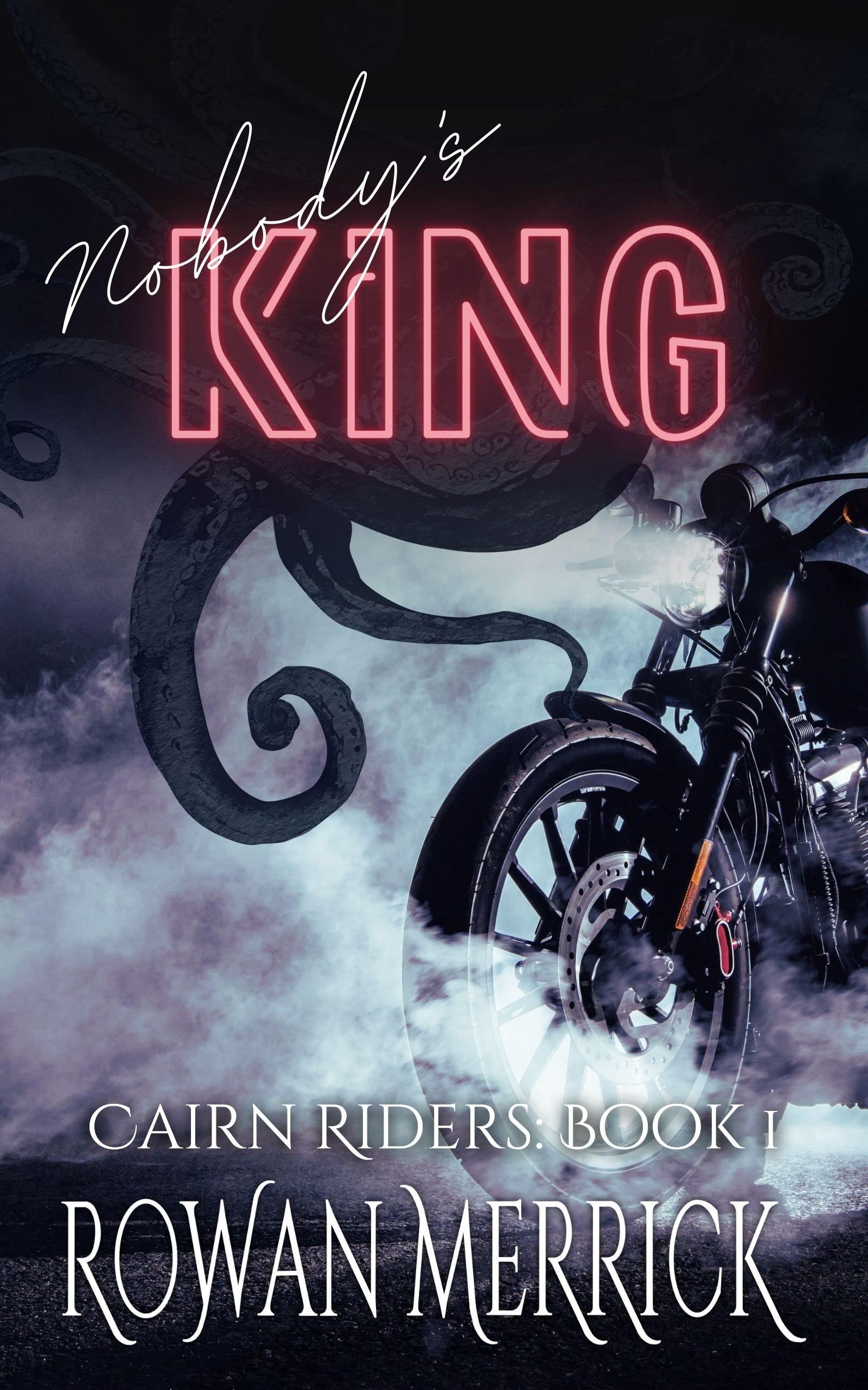 Nobody's King book cover